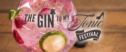 Image of the Gin To My Tonic Festival in Stoke Image of the Gin To My Tonic Festival in Stoke